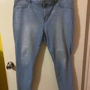 Plus Size D Jeans